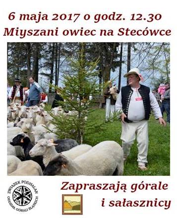 Stecówka